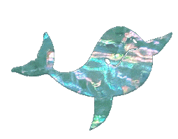Finless Porpoise Vintage Sticker by shellang