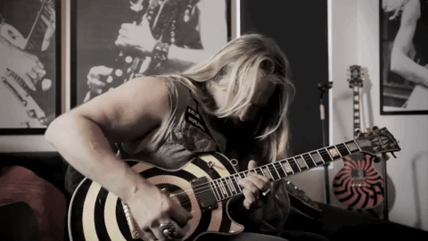 zakk wylde GIF