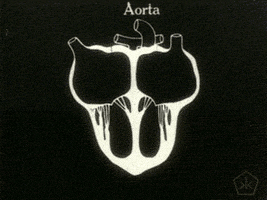 Black And White Heart GIF by Okkult Motion Pictures