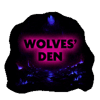 Nocturnal Wonderland Rave Sticker by Insomniac Events