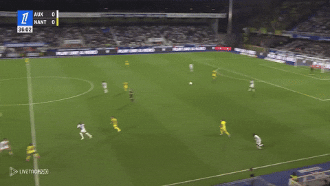 zgiorgos10 giphyupload GIF