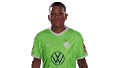 Swipe Up New One Sticker by VfL Wolfsburg
