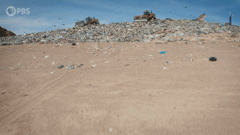 GIF by PBS Digital Studios