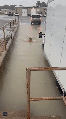 Delivery Driver Swims Through Kentucky Floods to Reach Truck