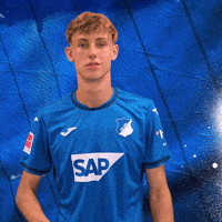 Sport Bundesliga GIF by TSG Hoffenheim