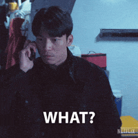 Record Scratch What GIF by NETFLIX