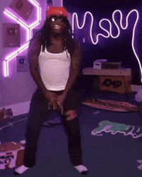 Party Drake GIF by Giant Music