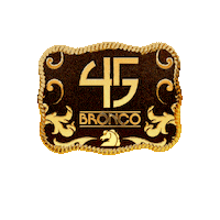 Lupeesparza Sticker by Grupo Bronco