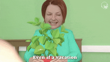 Vacation Is A Worth While Investment