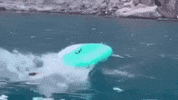 Sup Gervasi GIF