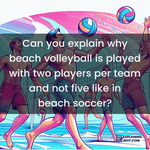 Beach Volleyball GIF by ExplainingWhy.com