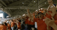Baseball College GIF by NCAA Championships