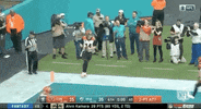 Regular Season Football GIF by NFL