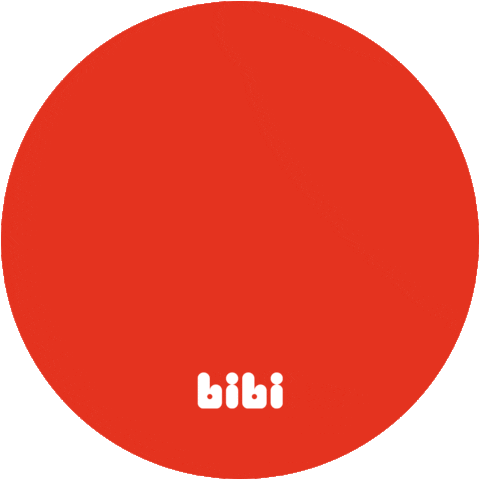 Shopping Brand Sticker by Calçados Bibi