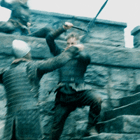 season 5 vikings GIF by HISTORY