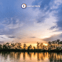 Good Morning Fun GIF by Learner Circle