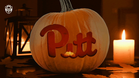 Halloween Pumpkin GIF by University of Pittsburgh