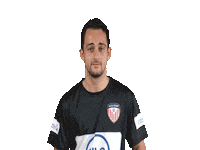 VVALFASPORT raymond alfa sport limoncello petri Sticker