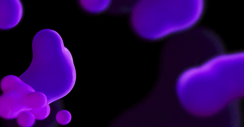 sudheepmeta giphyupload GIF