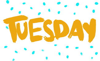 Text gif. Flashing in yellow and blue amongst teal confetti dances the word, “Tuesday.”