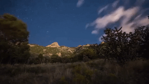 new mexico albuquerque GIF