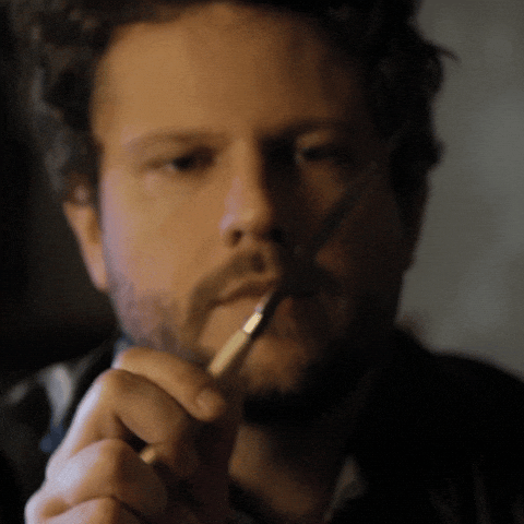 Selton Mello Analisando GIF