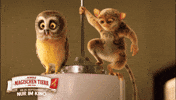Muriel GIF by Die Schule der magischen Tiere - Der Film