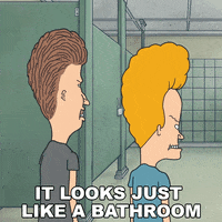 Confused Beavis And Butthead GIF by Paramount+