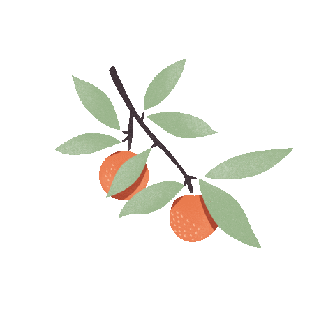 notbadtobesad giphyupload summer orange grow Sticker