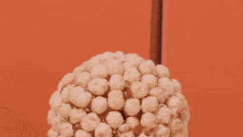 GIF by Flormel Alimentos Saudáveis