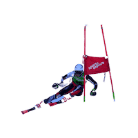 Racing Skiing Sticker by Ski Quebec alpin