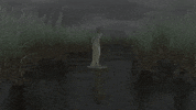 Water Grass GIF by stray.derps