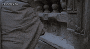 Applause Entertainment GIF by Applause Social