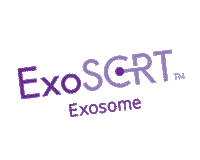 exocobio exosome 엑소좀 asce exocobio Sticker
