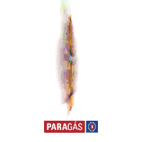 Pratinha Paragas Sticker by Nacional Gás
