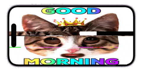 Sorry Good Morning Sticker by PEEKASSO