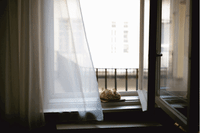GIF by mezitlab
