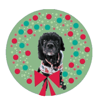 Christmas Sticker by Camp Cocker Rescue