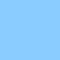 Happy Birthday Flower GIF by Jessica Lau