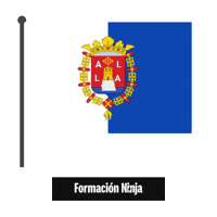 Comunidad Valenciana Flag Sticker by Formación Ninja