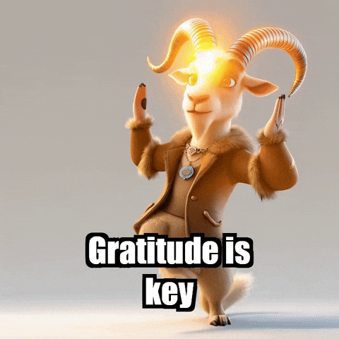 GIF by Radiantelope