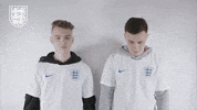 Three Lions Football GIF by England