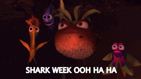 shark week love GIF