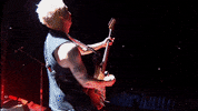 Eddie Vedder GIF by Pearl Jam