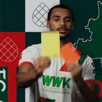 Football Bundesliga GIF by FC Augsburg 1907