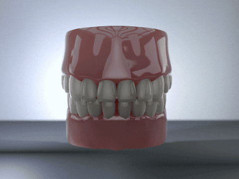 c4d GIF by Martin Onassis