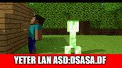 mccaps17 mccaps17 mccaps mccaps17 gif mccaps17 creeper GIF
