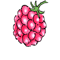 Raspberry Sticker by froschkorea