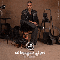 Pet Lover Zampeoficial GIF by ZAMPE pet apparel