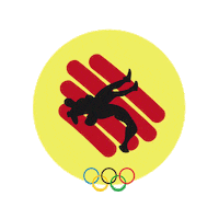 ZenytSports wrestling lluita zenytsports zenyt Sticker
